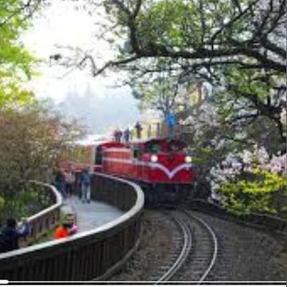 《崩坏星穹铁道》风堇抽取攻略:揭秘风堇强度,抽她值不值? 《崩坏星穹铁道》风堇抽取攻略:揭秘风堇强度,抽她值不值?