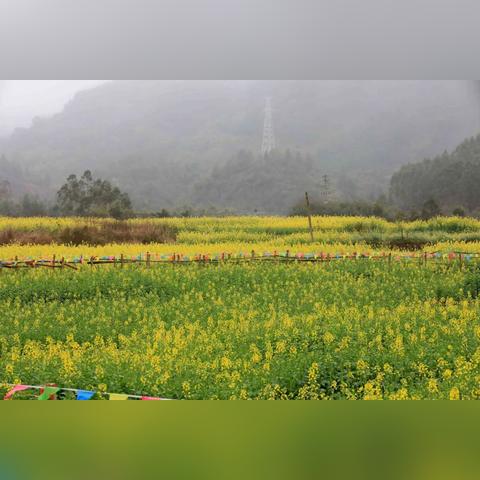 《绝区零》春日影像全关卡攻略，轻松通关新技巧揭秘