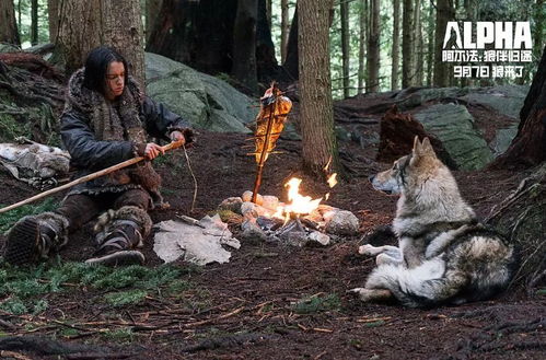 碧珍妮特独白精华！《饿狼传说群狼之城》必看特殊台词盘点