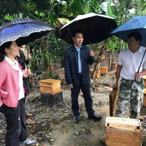 《光与影33号远征队》攻略：高效获取符纹，掌握神秘新技巧