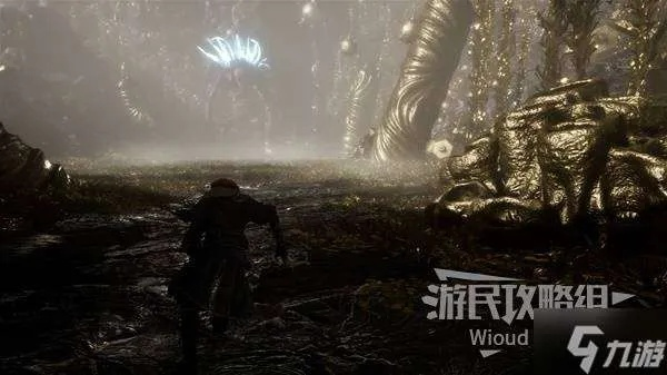 《光与影33号远征队》熙艾尔护林镰攻略：高效获取与属性解析