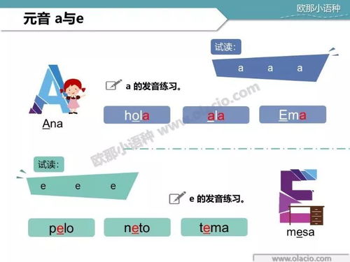 《宗门志》特性升级攻略：深度解析如何高效优化特性