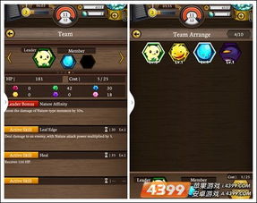 爱可菲装备搭配+队伍组建攻略，深度解析打造最强阵容技巧