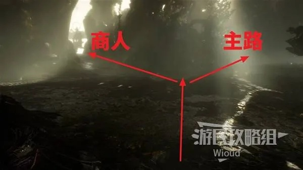 《光与影33号》抗萎败符纹攻略：高效获取抗萎败秘籍！