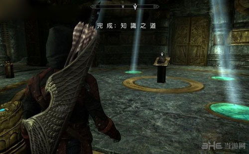 《上古卷轴4重制版》法师攻略：深度解析法师玩法技巧，提升战斗力！