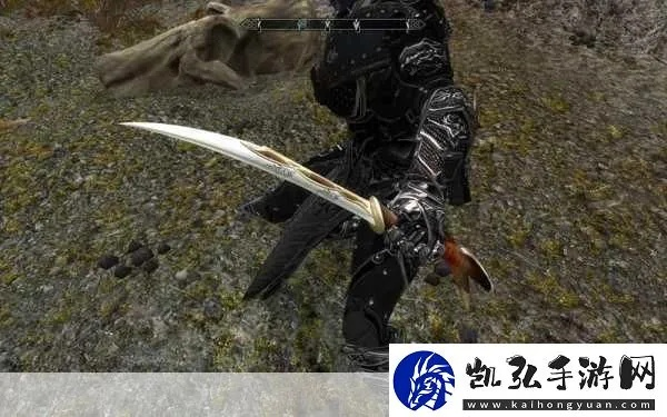 《上古卷轴4》暴食手铠攻略：轻松解锁独特装备技巧揭秘