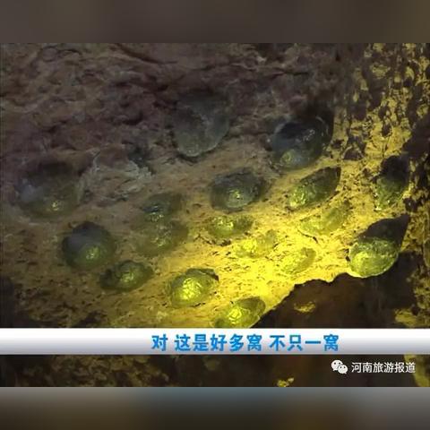 《绝地求生》探蛋家本月攻略：揭秘全新生存技巧