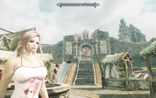 泰姆瑞尔疾病一览：《上古卷轴》揭示神秘病症新视角