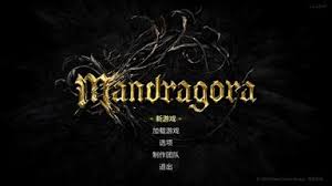 《秘影曼德拉》洗点攻略：高效重置技能点技巧揭秘