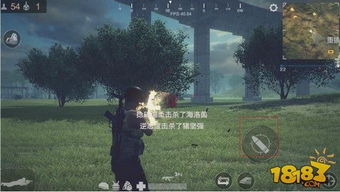 《潜行者2》射击闪退故障解析：高效解决开枪报错难题