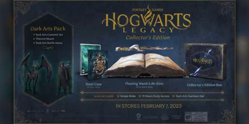 《霍格沃兹传承》2022年震撼发售，开启魔法新篇章