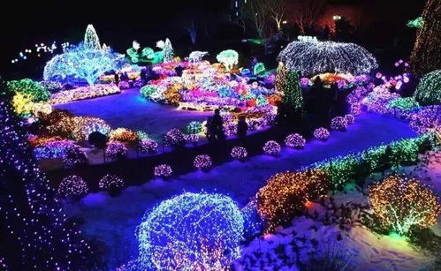 极致操作盛宴，花园之岛绽放新风采