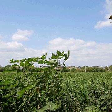 绝区零深度测评：策略视觉盛宴，揭秘新价值体验