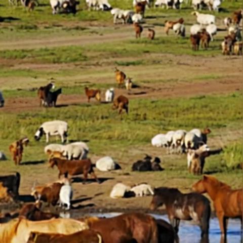 《二之国》国服测试深度解析:揭秘交错世界新价值 《二之国》国服测试深度解析:揭秘交错世界新价值