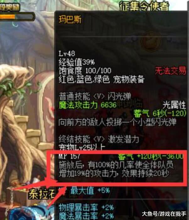 DNF宠物封印胶囊能否封年宠的深度探究