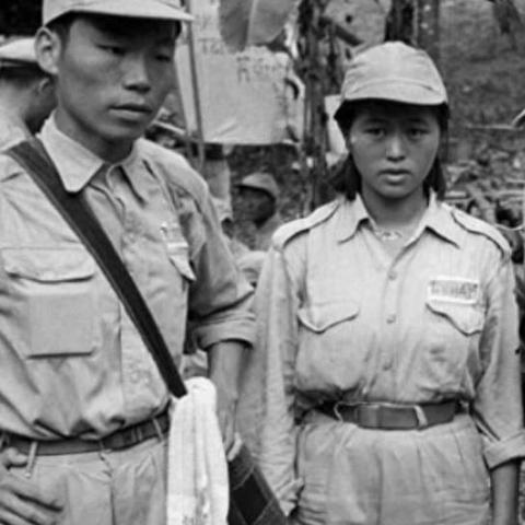 丛林之狐 1 秘籍大揭秘，开启游戏巅峰之旅