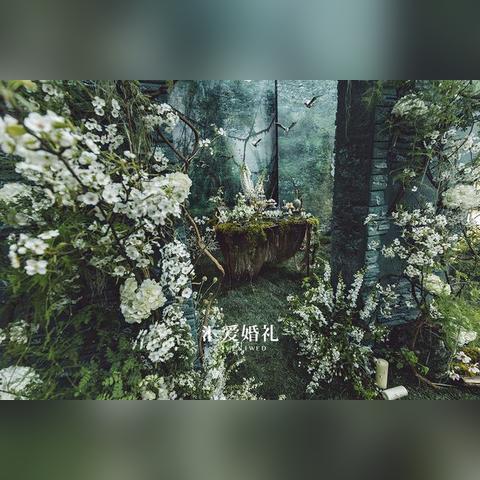 探寻心灵传说下载之旅，游戏世界的奇妙体验