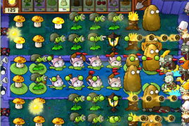 植物大战僵尸 存档（怎么做才能完美无缺）