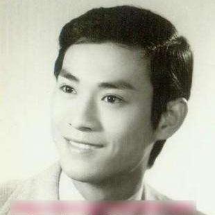 重温经典，郑少秋版流星蝴蝶剑40集的江湖传奇