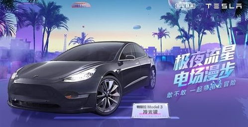 和平精英特斯拉价格探秘，从虚值到实际花费