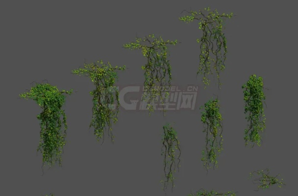 藤蔓根茎,  G.S.D任务需要多少个