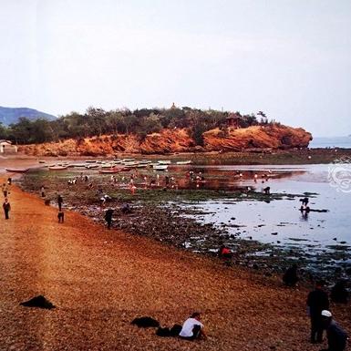 裸露奇遇引热议：揭秘《天外世界2》NPC妙语连珠