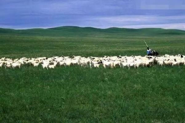 做环牧需要注意什么？老手分享这几个实用经验！