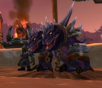 克洛玛古斯之皮好刷吗？新手也能快速入手！