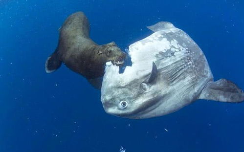 淘拍刷,怎样使用才不踩坑 淘拍刷,怎样使用才不踩坑