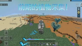 探索〈家园〉中文版，星际冒险的深度体验