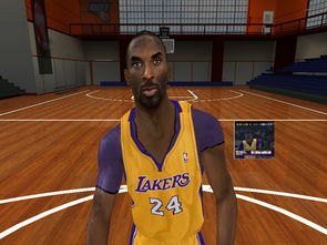 nba2008下载（还能找到哪些好用的补丁）