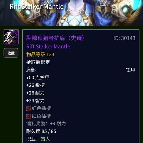魔兽世界 TBC 猎人,荒野追猎者的荣耀征程 魔兽世界 TBC 猎人,荒野追猎者的荣耀征程