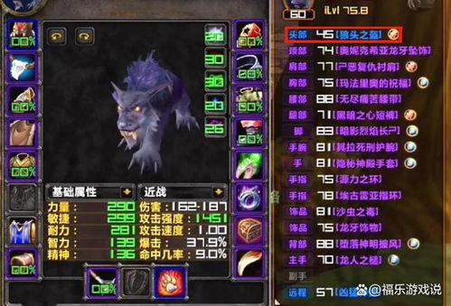 70级猫德输出循环图,  能帮你提升多少DPS