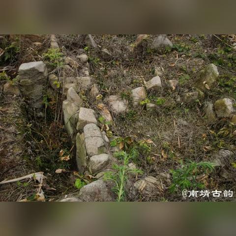 稀饭旅行：您的理想海外自由行选择