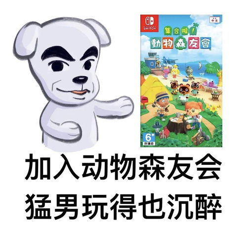 动物森友会还在乱玩？资深岛主揭秘30天从0到全成就的隐藏逻辑