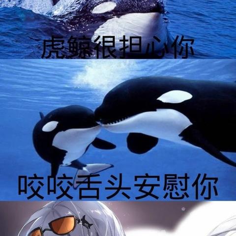 浊心斯卡蒂即将登场!明日方舟新干员实力评测 浊心斯卡蒂即将登场!明日方舟新干员实力评测