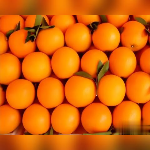 蚂蚁庄园今天最新答案解析（2024年11月10日）