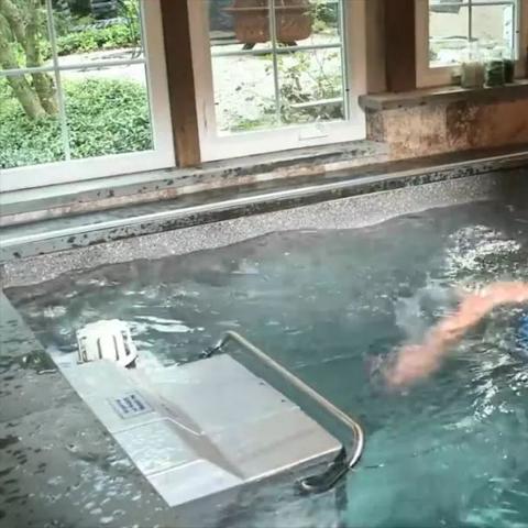 泳池无尽版攻略(地面植物是否可以在水中放置) 泳池无尽版攻略(地面植物是否可以在水中放置)