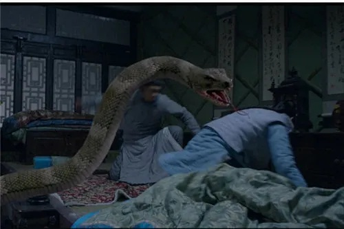 人蛇大战之蛇蝎美人,是人性的考验还是蛇的诱惑？