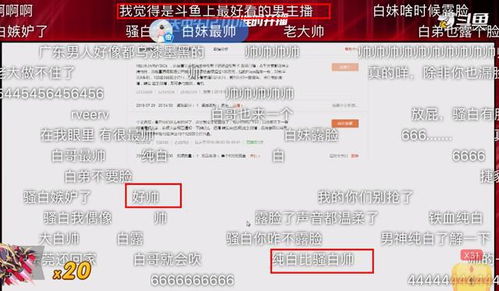 XXOO：现代社交中的隐晦表达与网络文化