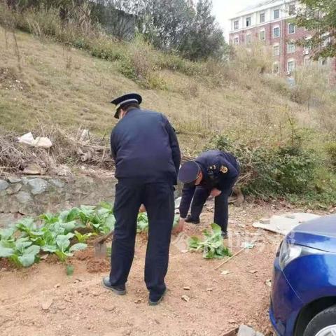 三国志12前期武将选谁不踩坑？10个被忽略的开荒神级角色实战测评