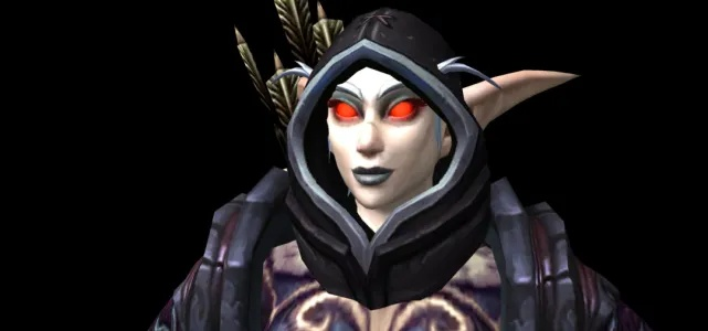 堕夜精灵军需官，暗夜中的守护者与补给者