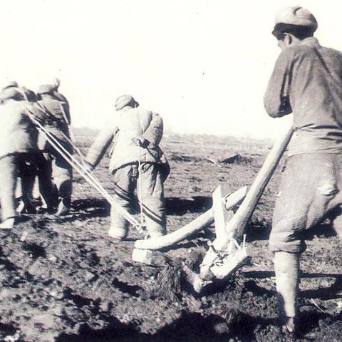 黑色沙漠官网藏着多少老玩家不知道的开荒密码？