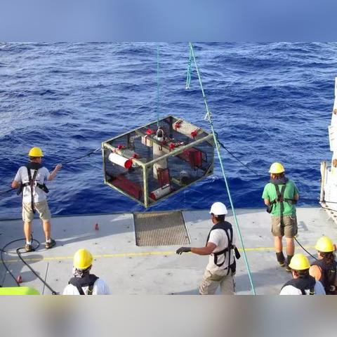 掠食2玩家别再乱捡垃圾了!你忽略的资源生存链,才是通关的关键逻辑 掠食2玩家别再乱捡垃圾了!你忽略的资源生存链,才是通关的关键逻辑