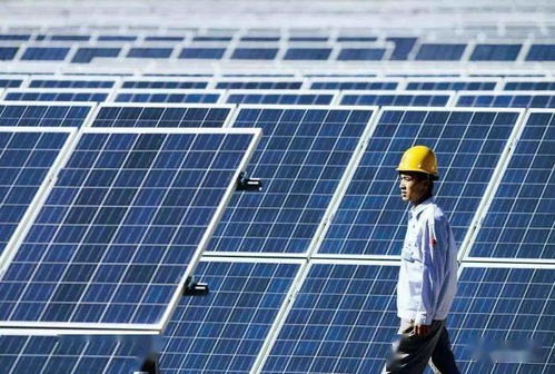 茶界巨头联姻光伏女神，市值超600亿创行业新篇章