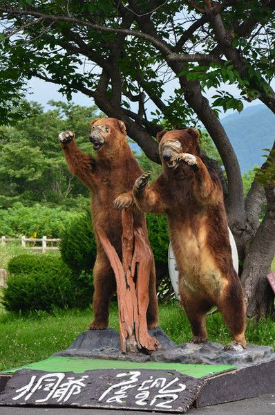 羊蹄山魂探秘:与熊共舞新体验 羊蹄山魂探秘:与熊共舞新体验