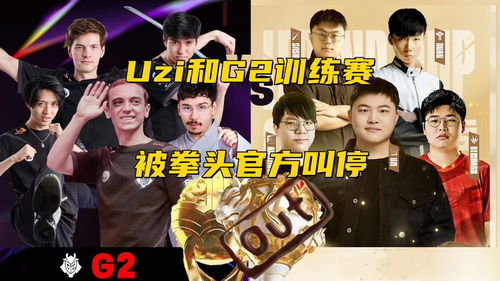 乔伊大揭秘：未播8集终现全新惊喜