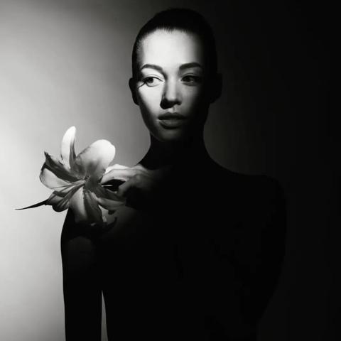 英雄共鸣，光影盛宴，体验《光与影》获奖魅力新境界