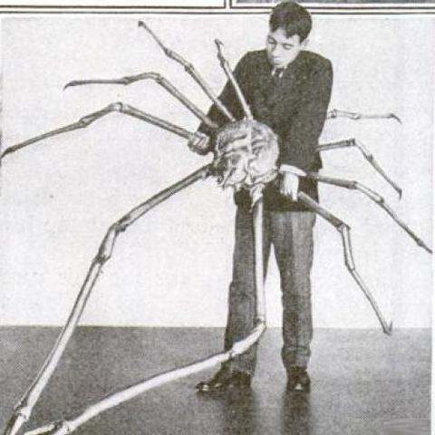 巨型蜘蛛在游戏里有多恐怖？老玩家用3场极限逃生拆解它的致命逻辑