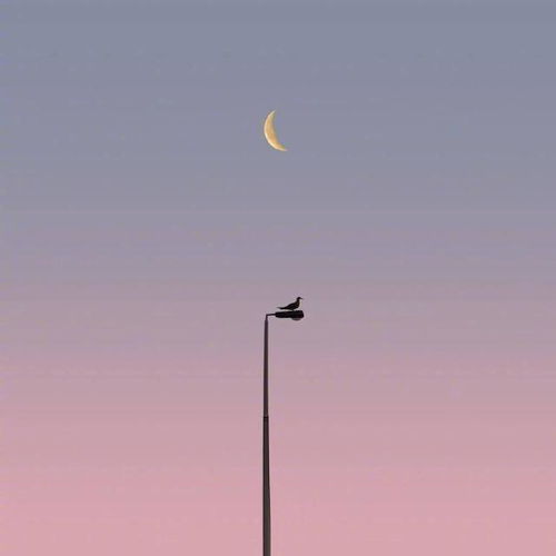 艾尔登法环结局里的3个隐藏真相,你选的结局,其实早被交界地写死了? 艾尔登法环结局里的3个隐藏真相,你选的结局,其实早被交界地写死了?